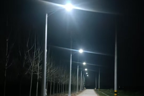 黑龙江省肇东市昌五镇四井村：乡村新能源 照亮振兴路(图2)